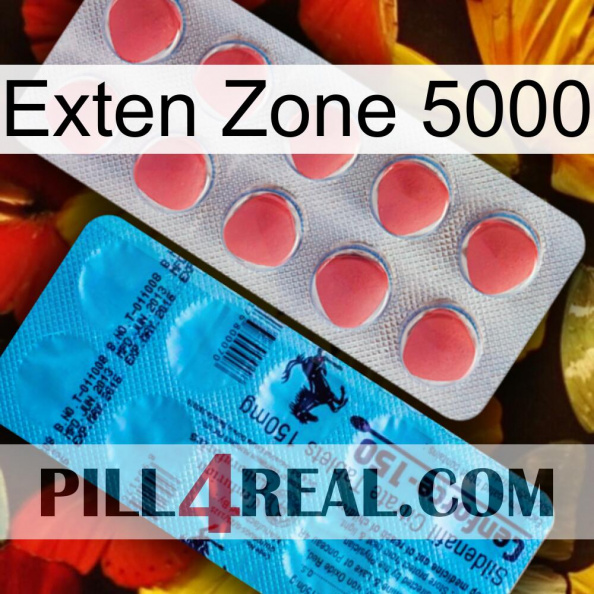 Exten Zone 5000 new14.jpg